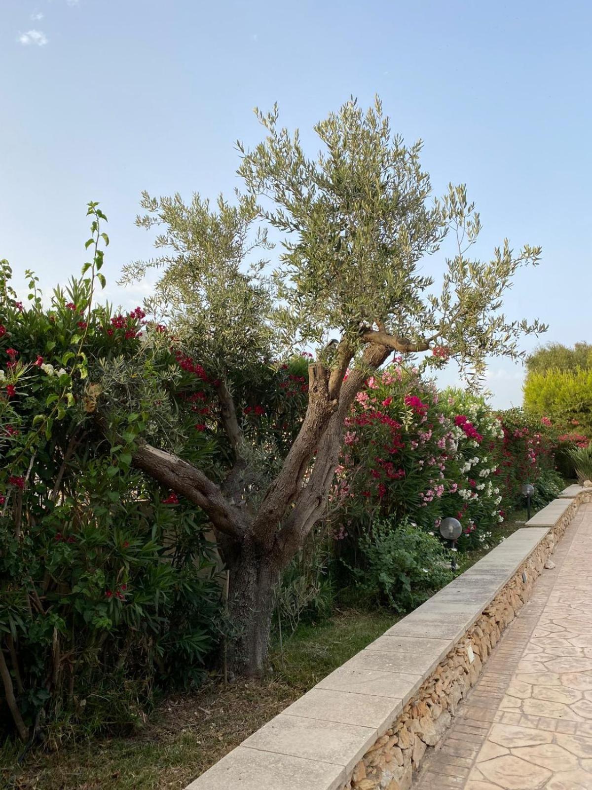 Villa Maia Porto Cesareo Exteriér fotografie